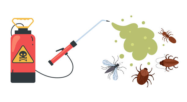 What are the signs that indicate a need for a termite inspection in Seattle?